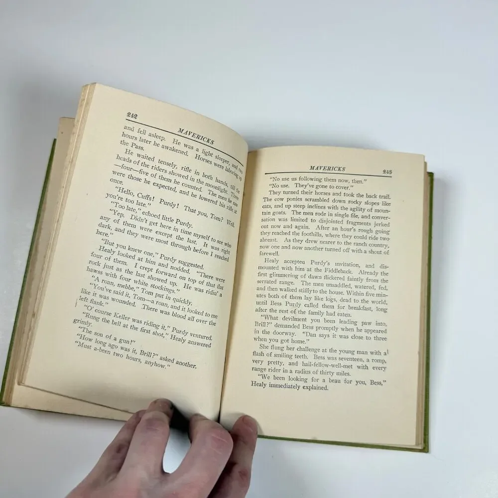 Mavericks By WILLIAM MacLeod Raine 1912 Antique book